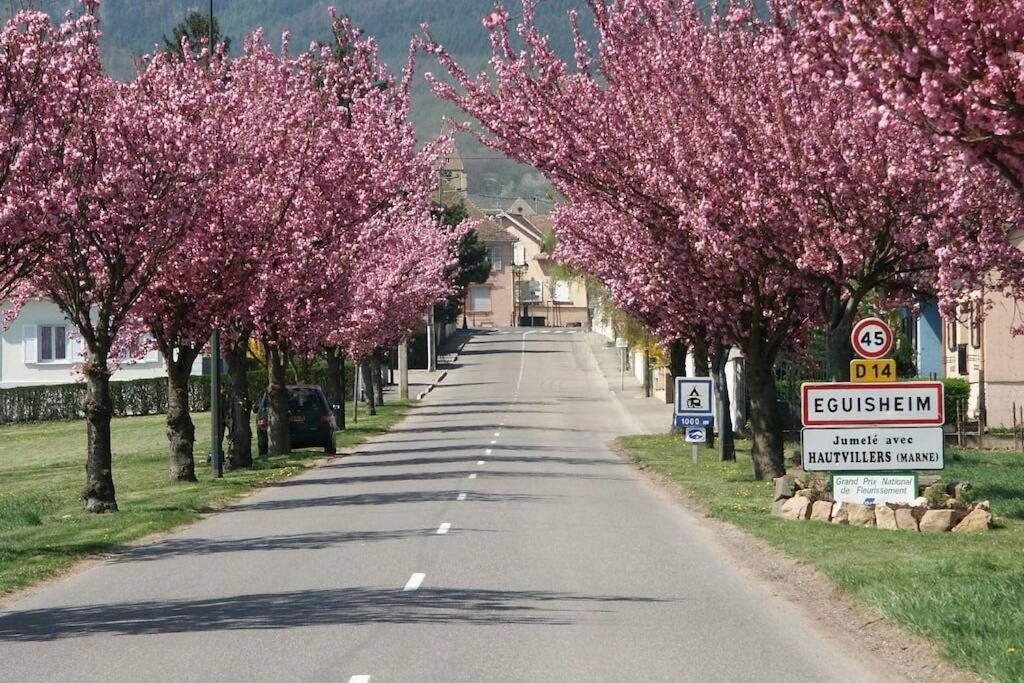Gite A Eguisheim Proche De Colmar Et Kaysergberg. Ngoại thất bức ảnh