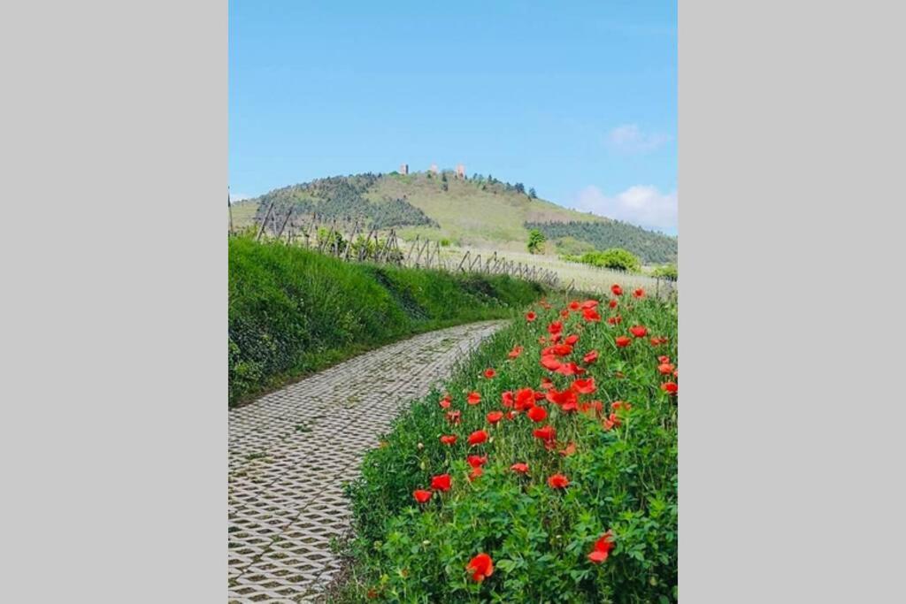 Gite A Eguisheim Proche De Colmar Et Kaysergberg. Ngoại thất bức ảnh