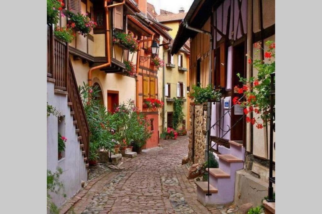 Gite A Eguisheim Proche De Colmar Et Kaysergberg. Ngoại thất bức ảnh
